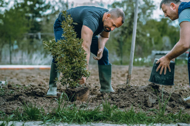Best Soil Testing and Treatment  in Pleasantville, NY