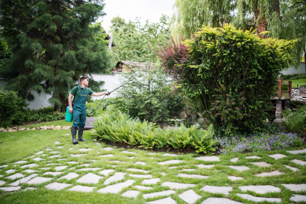 Best Storm Damage Tree Cleanup  in Pleasantville, NY